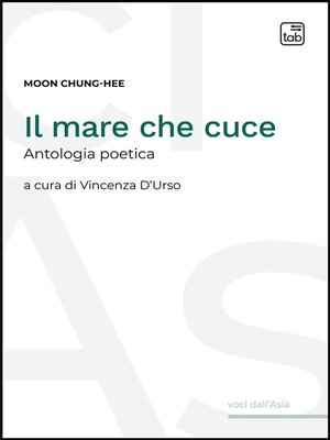 cover image of Il mare che cuce